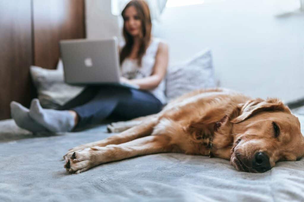 21+ Work From Home Jobs For Teens